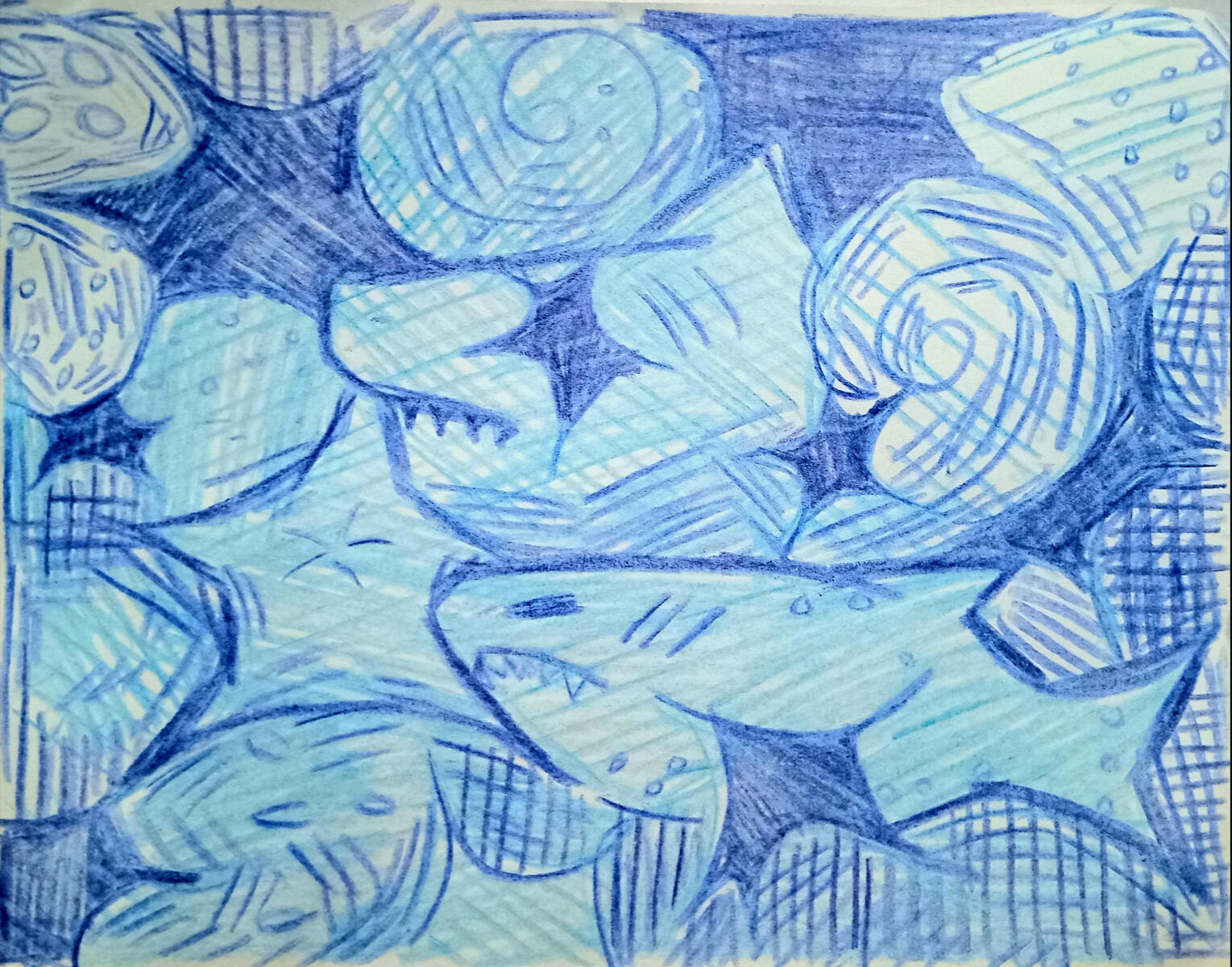 Sketchy Sharks! Sketchy Sharks!